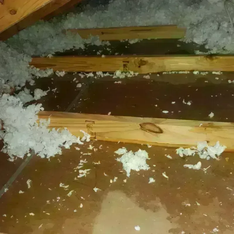 Attic Water Damage in Gonzales, TX