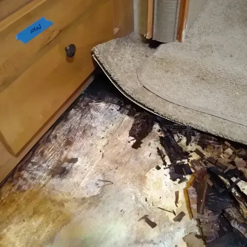 Wood Floor Water Damage in Gonzales, TX